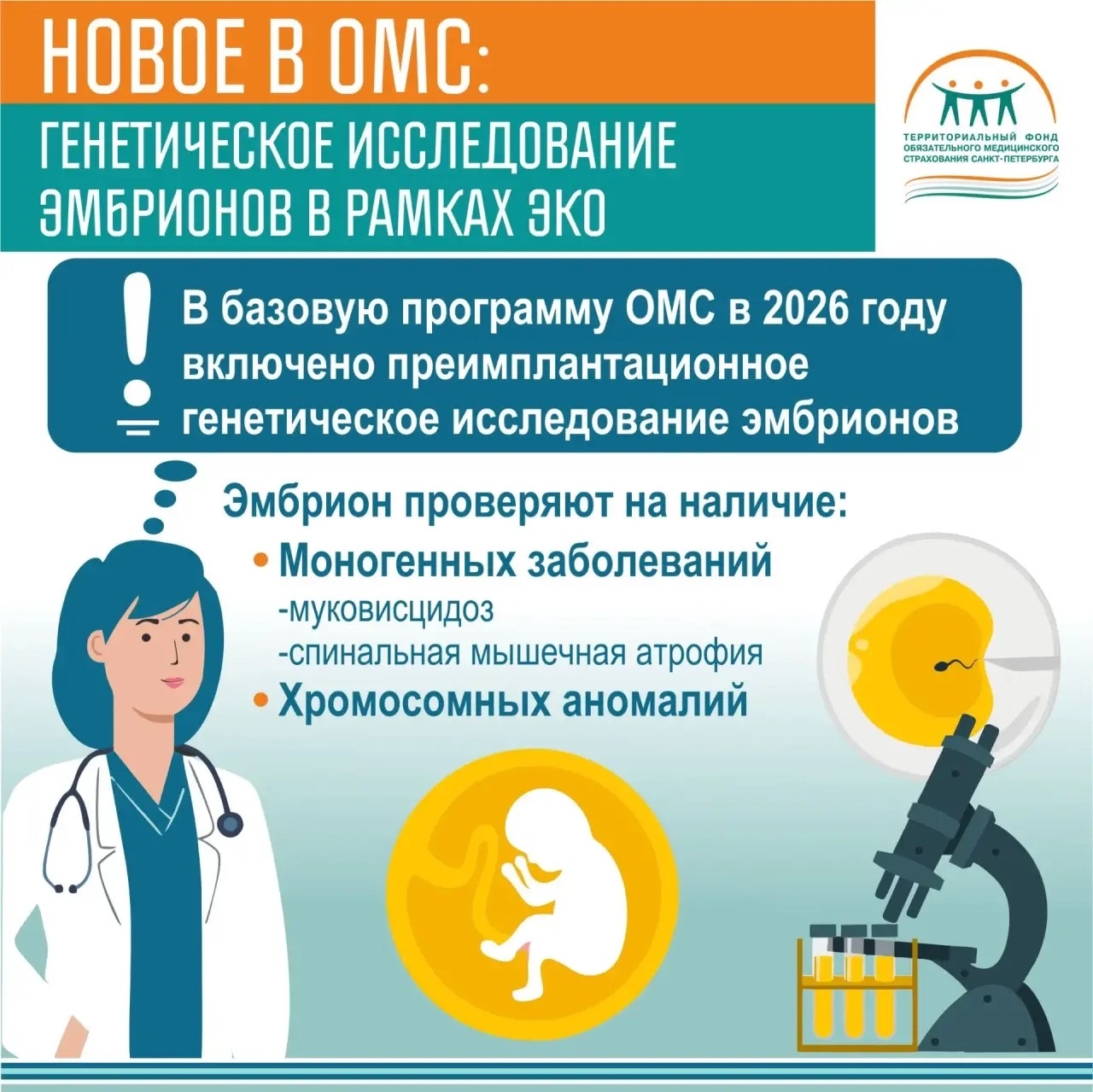 Новое в ОМС в 2026 году: Генетическое исследование эмбрионов в рамках ЭКО